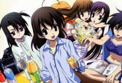 动漫后宫番,动漫世界中的权力与爱情角逐