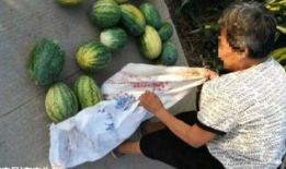 滕州吃瓜最新事件爆料,最新爆料揭示惊人内幕